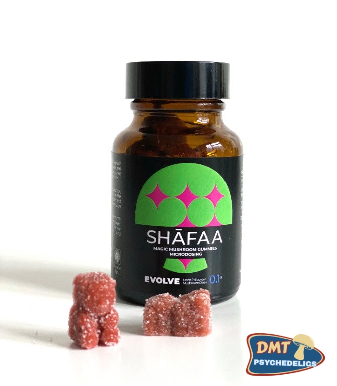 Shafaa Evolve Magic Mushroom Microdosing Gummy Bears