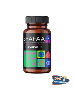 Shafaa Evolve Magic Mushroom Microdosing Cognition Capsules
