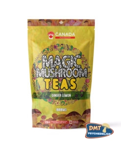 Canada Mushrooms Shroom Tea | 1000MG | Ginger Lemon