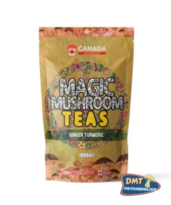 Canada Mushrooms Shroom Tea | 1000MG | Ginger Turmeric