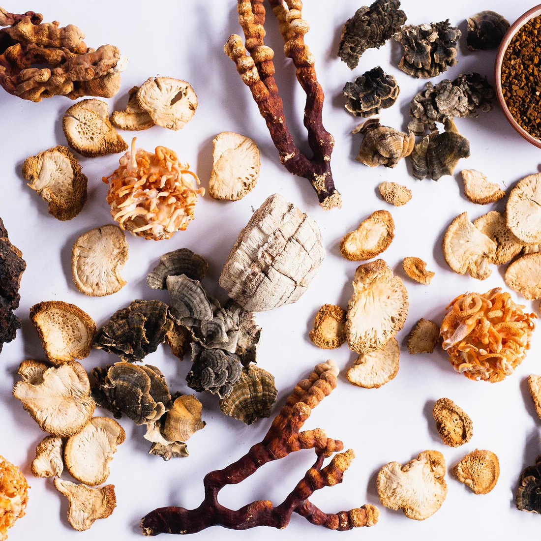 Stay Wyld Organics – Daily Immunity 5-Blend Mushroom Capsules (Bottle of 90) - Image 3