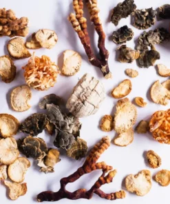 Alternative view of Stay Wyld Organics – Daily Immunity 5-Blend Powder (100g)