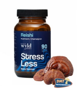 Stay Wyld Organics – Reishi Mushroom Capsules (Bottle of 90)